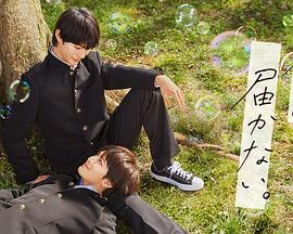 天河seo优化关键词多少钱